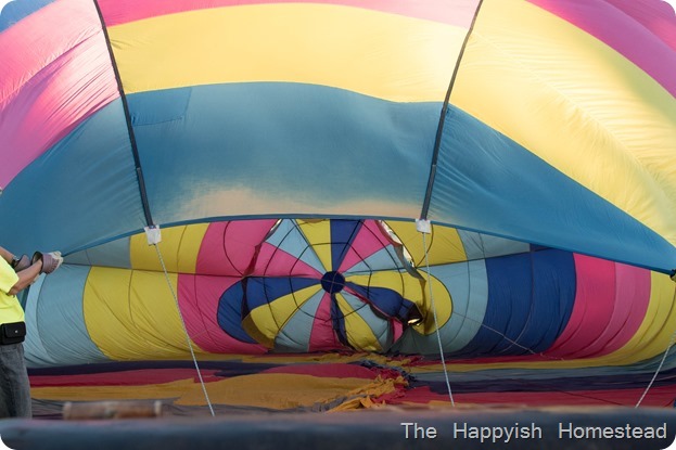 DSC_0602 DSC_0602
