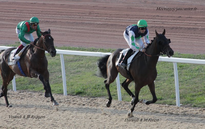 Photos Pornichet le 7-08-2015 IMG_3706