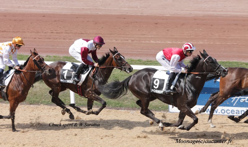 Photos Pornichet le 7-08-2015 IMG_3364