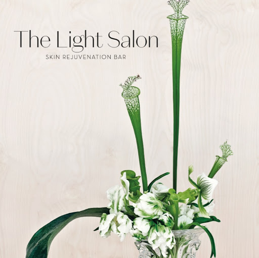 The Light Salon - Harvey Nichols logo