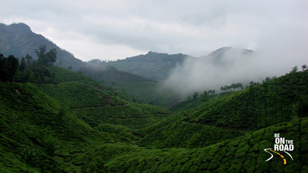 A classic Munnar landscape