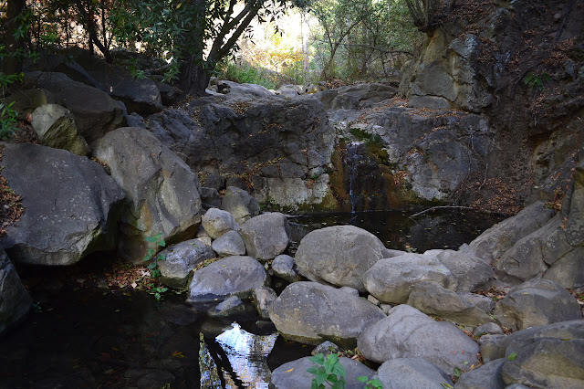 a little waterfall into a pool suitable for splashing