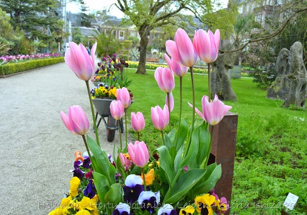 Glória Ishizaka - Hortus Botanicus Leiden - 62