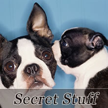 Secret Stuff