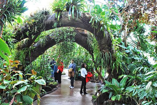 this amazing tree arch.