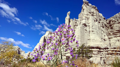 Plaza Blanca is 1 hour away from Santa Fe. Plaza Blanca, known also as the White Place, is a magical area located near Abiquiu, NM that inspired Georgia O'Keeffe.