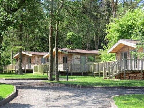 Darwin Forest Country Park