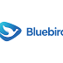 Bluebird Free Vector Logo CDR, Ai, EPS, PDF, PNG HD