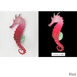Sea Horse-Red