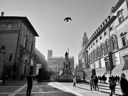 Piazza Maggiore di Michelle1999