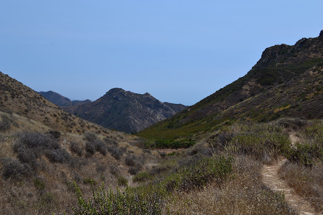 looking east to the new view from the saddle