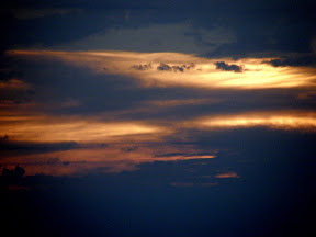 Picasa