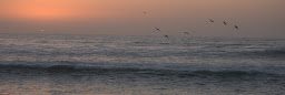 Profile cover photo