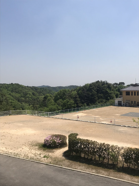 フェアレディZのドライブに関するカスタム事例の投稿画像3枚目