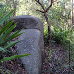 Sandstone Boulder (172293)