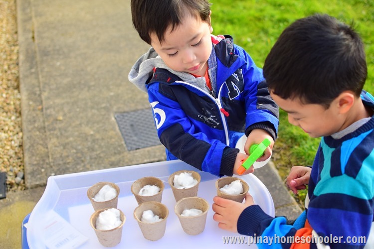 Montessori Plants