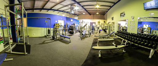 Blaze 24HR Fitness Tauranga - Gyms Tauranga