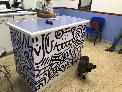 Medical Vet Center, 77013, Av. Francisco I Madero 325, David Gustavo, Chetumal, Q.R., México, Veterinario | QROO