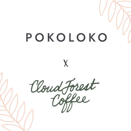 Pokoloko logo