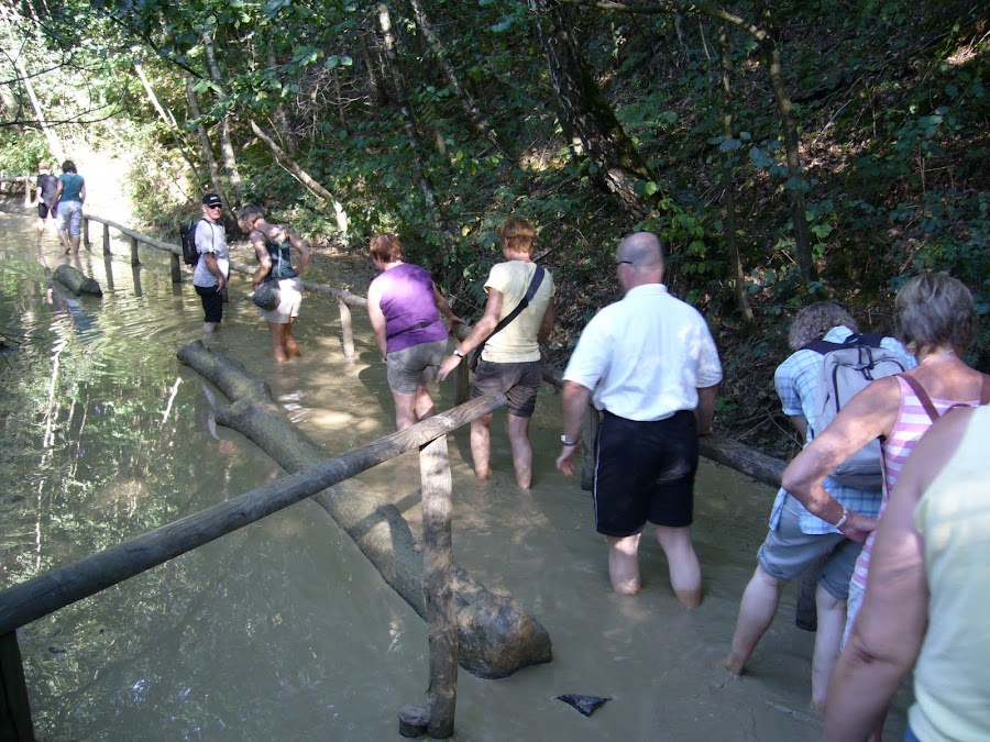 Blotevoetenwandeling blotevoetentocht.jpg