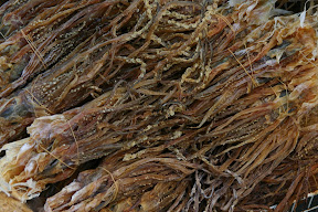 Squid, Ameyoko street market near Ueno