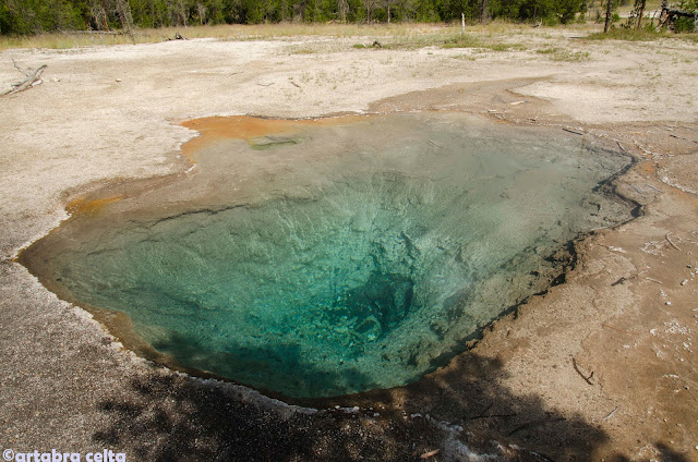 ZONA GEOTERMAL DE YELLOWSTONE N.P. (WYOMING, USA), Naturaleza-USA (6)