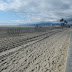 Santa Monica beach from near Strand Ave