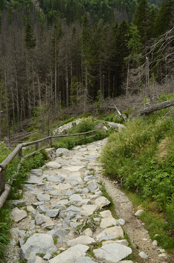 Татры, июнь 2015. с собакой