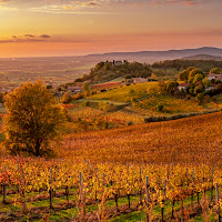 Autunno al passo del vento di 