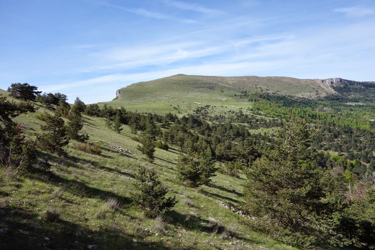 DSC02013.JPG