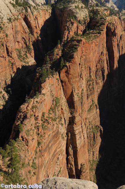 ANGELS LANDING TRAIL EN ZION N.P. (UTAH, USA), Excursiones-USA (21)