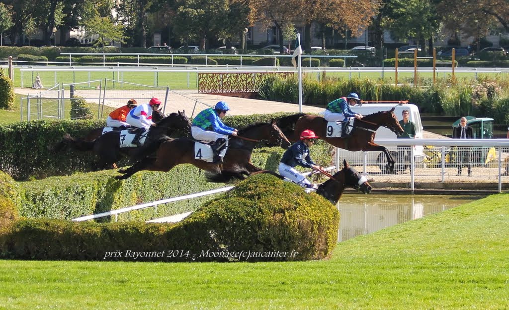 Photos Auteuil le 27-09-2014 IMG_4257