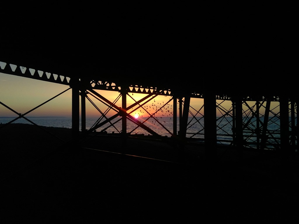 [sunrise%2520beneath%2520the%2520pier%255B5%255D.jpg]