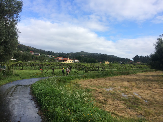 Camino de Santiago Portugues/Португальский пусть Святого Иакова, май 2015 (Порто-Сантьяго)