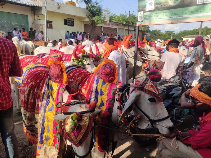 हिमायतनगर येथे बळीराजाचा `पोळा` हा सण शांततेत व आनंदात संपन्न