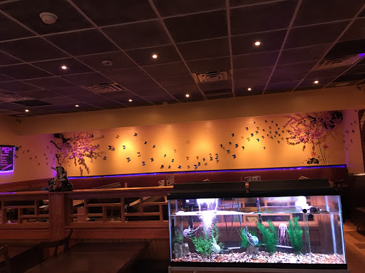 Sushi Restaurant «Lemon Tree Asian Cuisine», reviews and photos, 27 Cedar St, Dobbs Ferry, NY 10522, USA