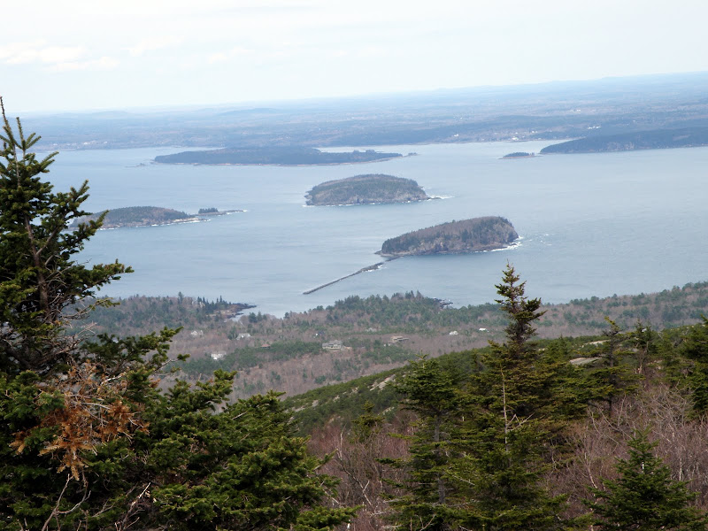P4296153.JPG