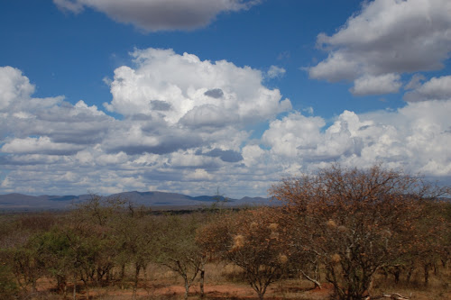 Starting our trip in Kenya