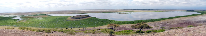 De safari: AMBOSELI - KENYA: safari y playas del Índico (4)