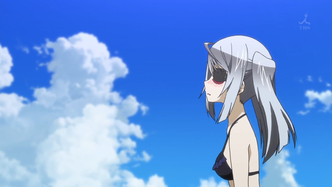 IS: Infinite Stratos (Infinite Stratos) 