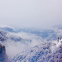 La nebbia a gl'irti colli piovigginando sale     di 