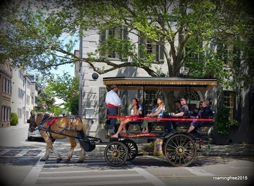 Horse-drawn Tour