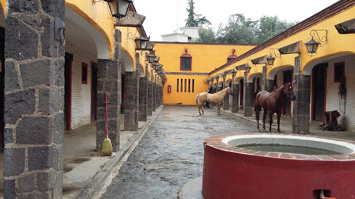 Lienzo Charro del Pedregal, Camino a Santa Teresa 305, Tlalpan, 14000 Tlalpan, CDMX, México, Recinto para eventos | Ciudad de México