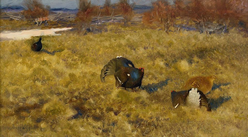 Bruno Liljefors - Black grouse displaying 1900