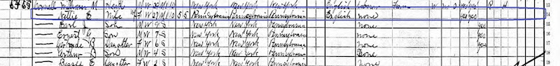1910 census highlighted
