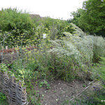 Commanderie de Coulommiers : jardin médiéval