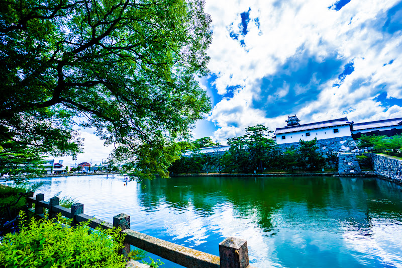 Imabari Castle moat 2