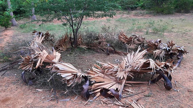 குறும்பா,குறும்பன்,குறும்பர்,குறும்பக்கவுண்டர்,குறும்பன்ஸ், குறும்மன்ஸ், மக்கள் சமூகநீதி பேரவை.  Kurumban, Kurumbas, Kurumba Gounder, Kurumans, Kurumbar & Kuruba.