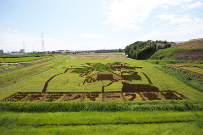 安城 田んぼアート 2014