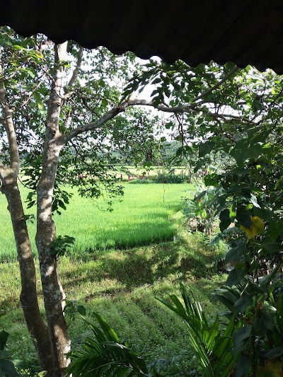 Photos of Villa Batu Twins Pancawati
